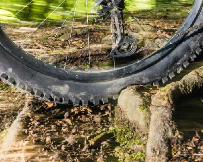 The more flexible an MTB tyre is, the better it keeps contact with the ground when riding over small roots.
