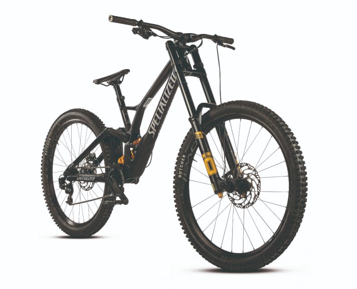 Type BIG-BIKE/DOWNHILLER: Specialized Demo Race | Price: 8300 Euro | FW: 200/200 mm