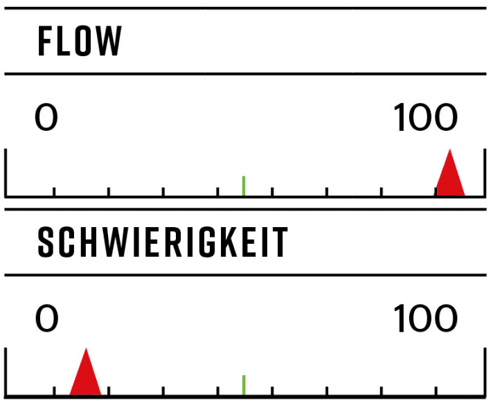   Steinberg-Line