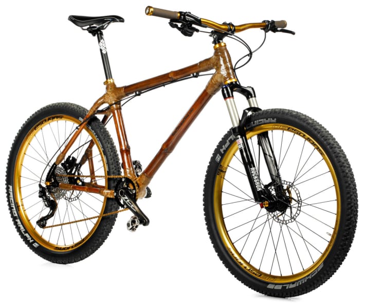 Bamboo mtb 2025