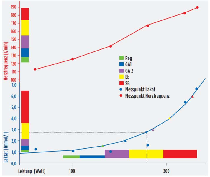 Grafik des Verlaufs einer Leistungsdiagnostik