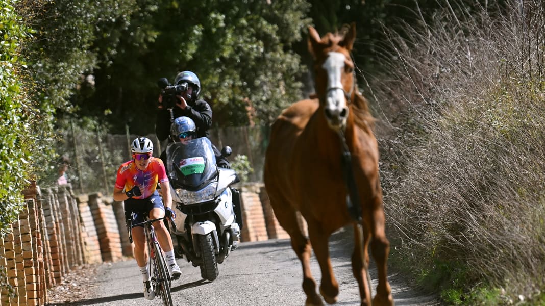 Strade Bianche: Pferd sorgt für Hektik - Vollering siegt im Damenrennen