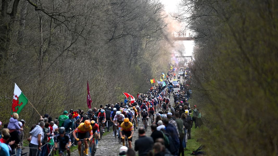Paris-Roubaix 2024: Schikane vor Wald von Arenberg