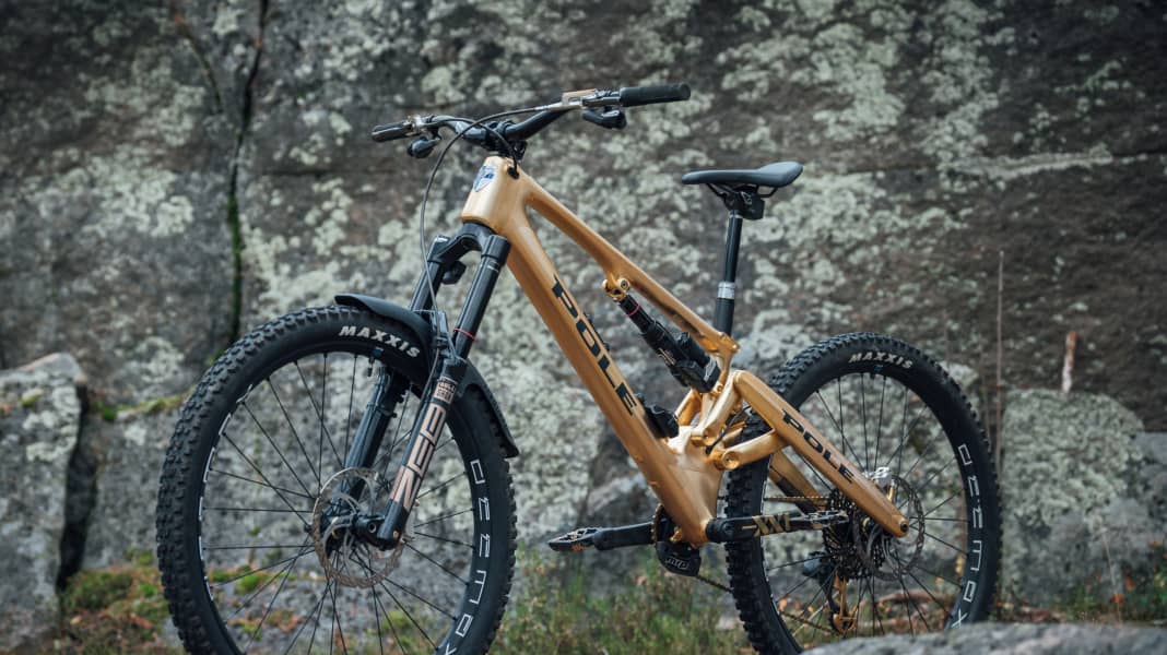 Pole dh bike online