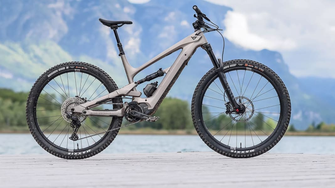 Yt decoy all mountain online