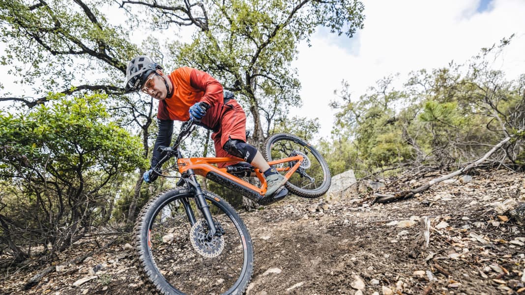 Trail ebike top