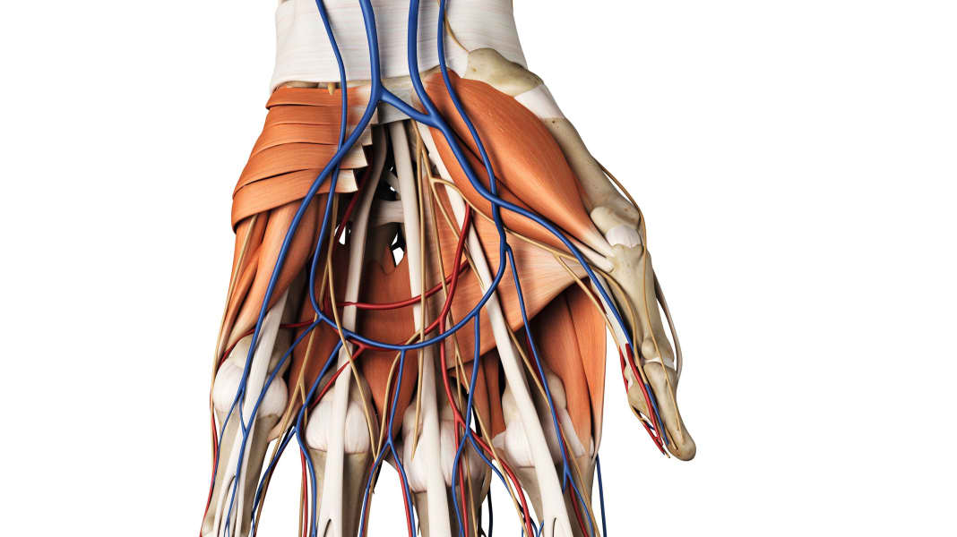 Ursachen für schmerzende Hände