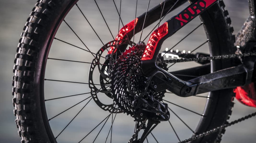 Eure Meinung zählt! Braucht das E-MTB ein Licht?