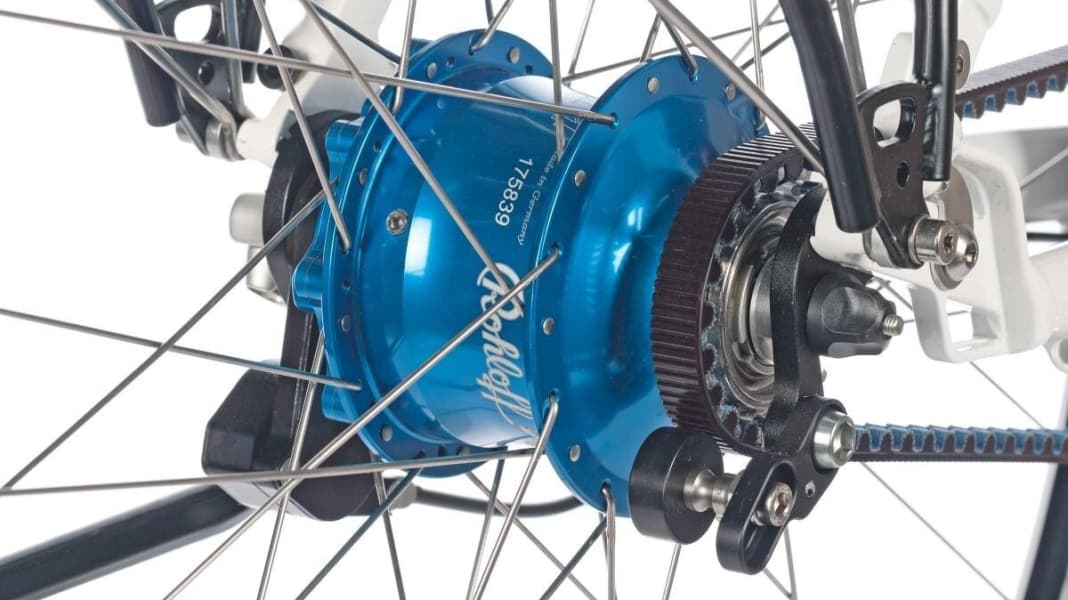 Pinion rohloff sales