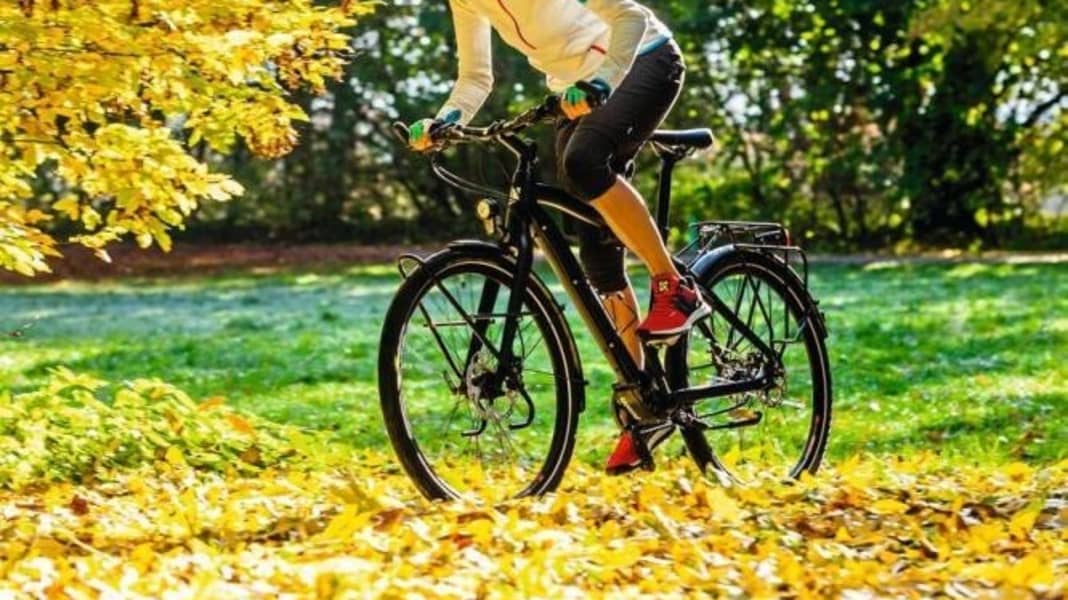 Rose Activa Pro Pinion – Mit 18 Gängen um die Welt