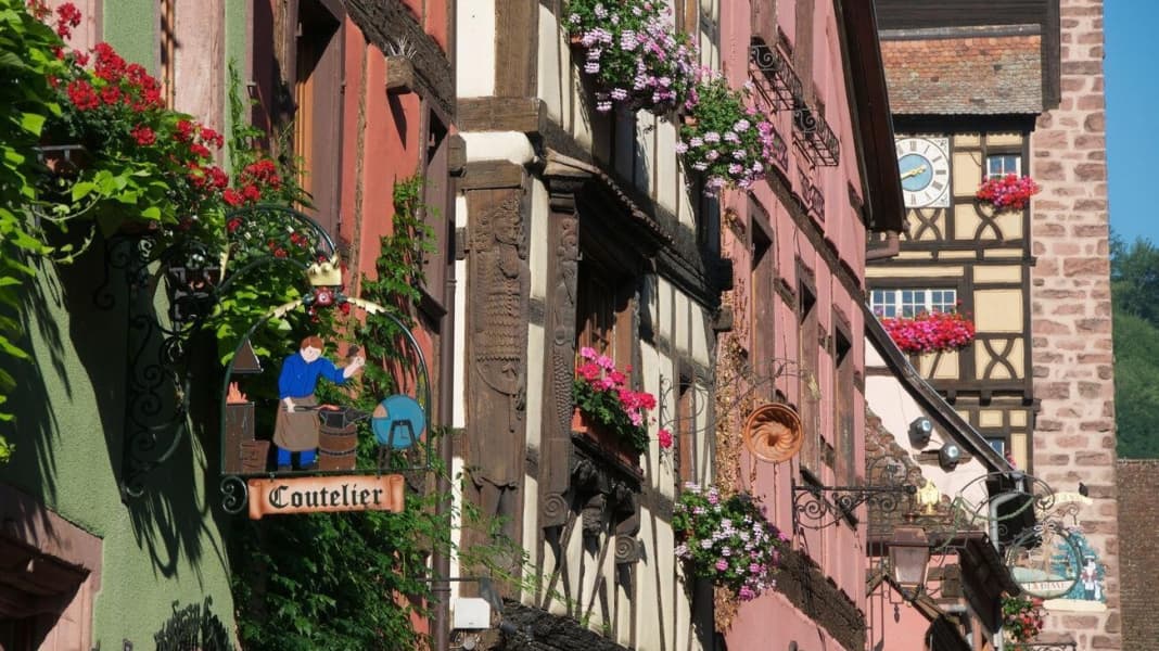 Route des Vins – Radrundweg durch Weinberge