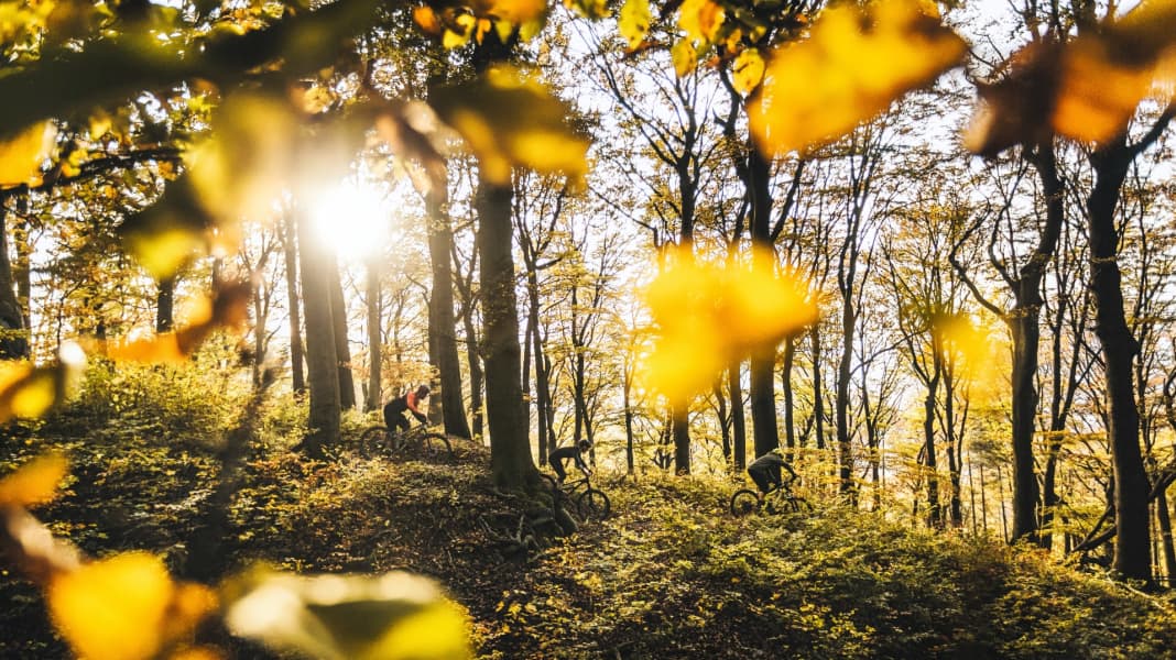 Prima Klima: Bike-Firmen und Nachhaltigkeit