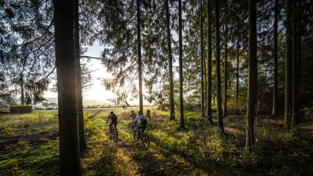 Das erwartet Dich auf dem Stoneman Arduenna