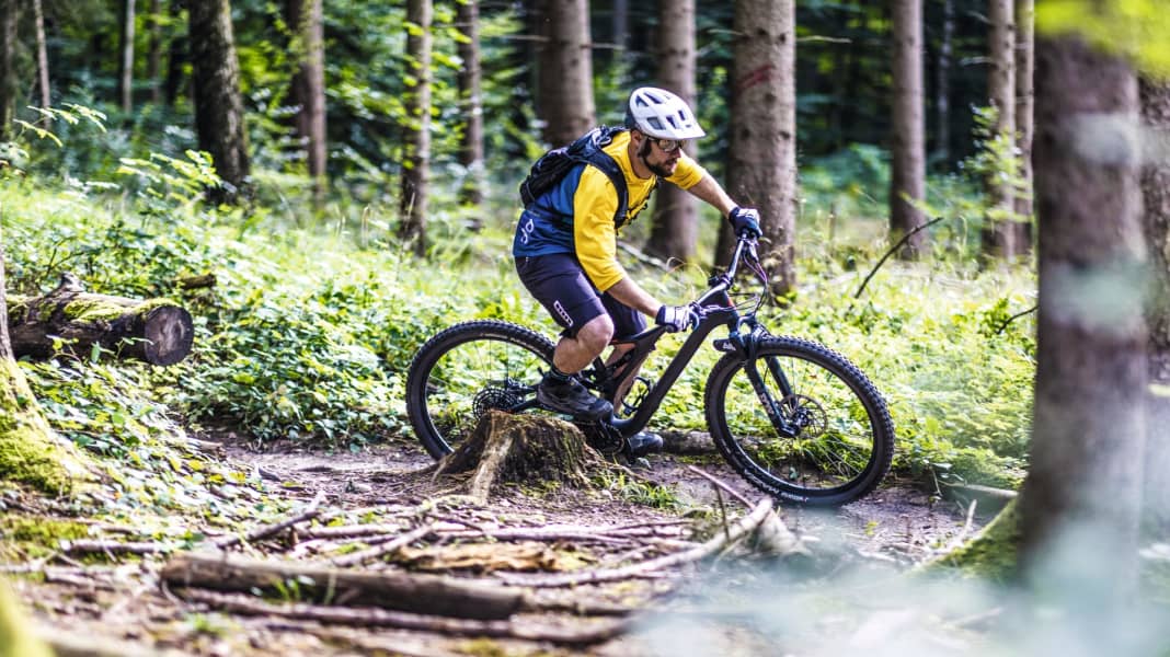 Stumpjumper carbon discount