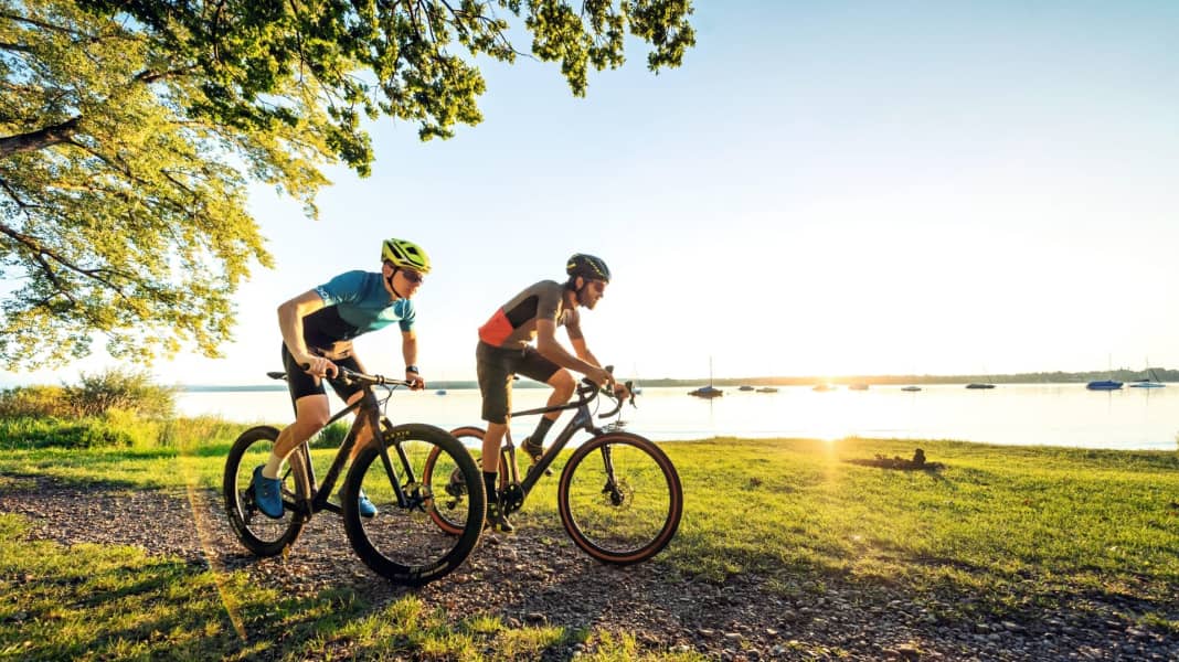 5 Gravelbikes im Konzeptvergleich