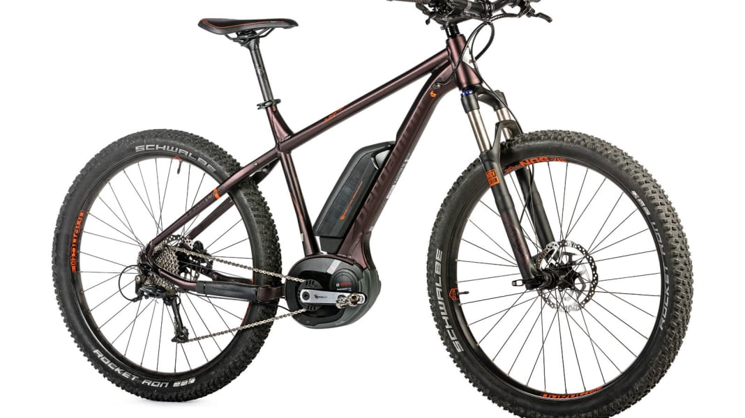 E-Hardtail Bergamont E-Roxter 6.0 Plus im Test