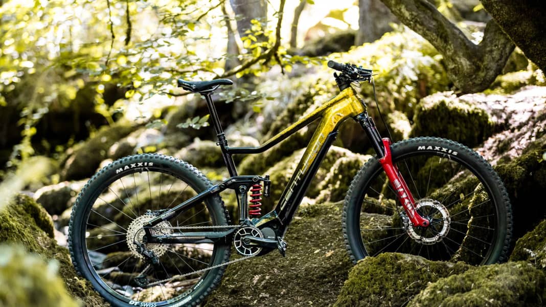 Centurion No Pogo F: 29 Zoll und EP8