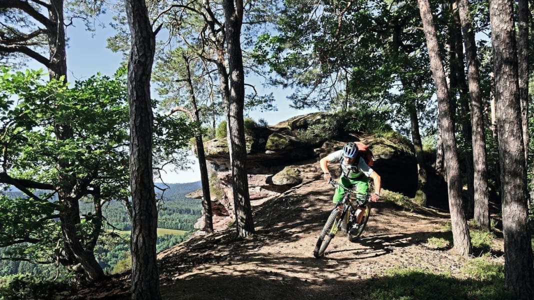 2 Singletrails für E-MTB Touren im Pfälzerwald