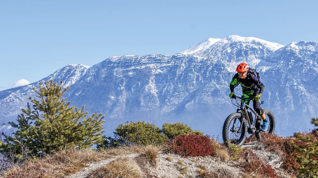 Edel-Fett: E-Lom Fatbike im Einzeltest