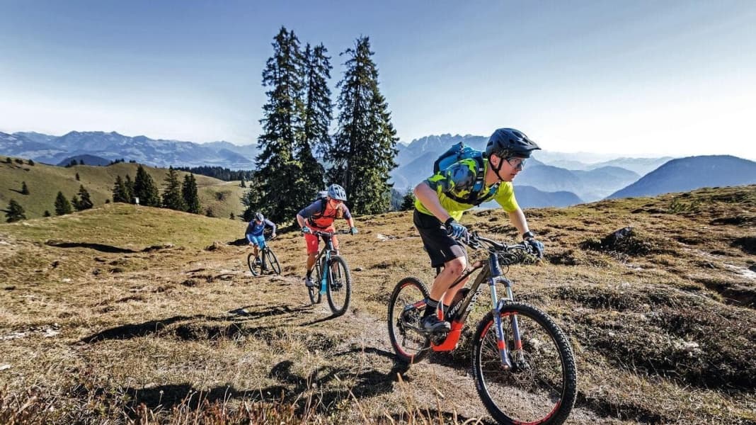 Moderates Touren-Bike: Haibike Sduro Hardseven 6.0