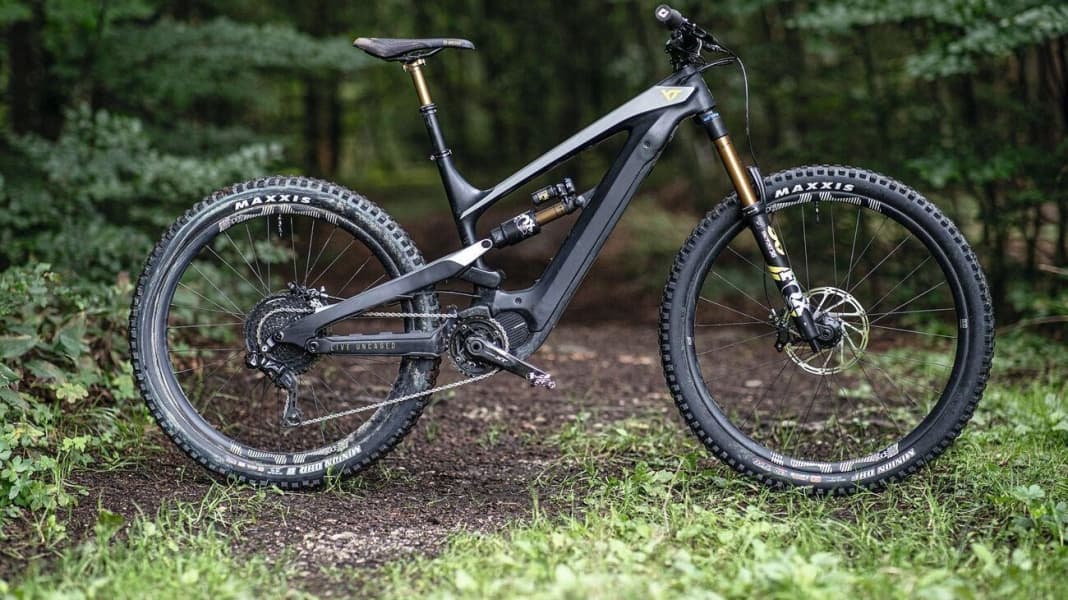 Decoy cf pro race outlet