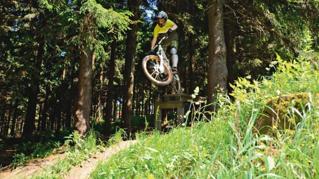 Bikepark-Test: Wurzelpurzel