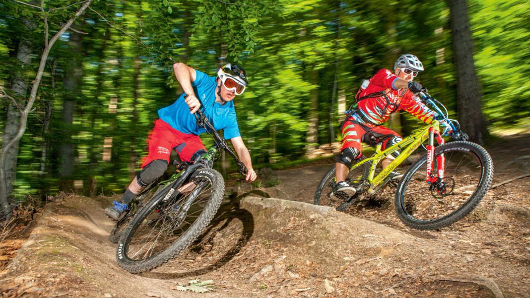 4 Hardtails im Systemvergleich