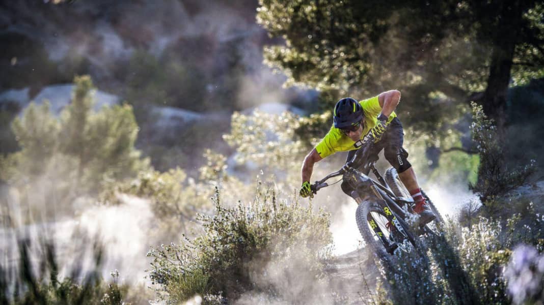 Decoy cf hot sale pro race