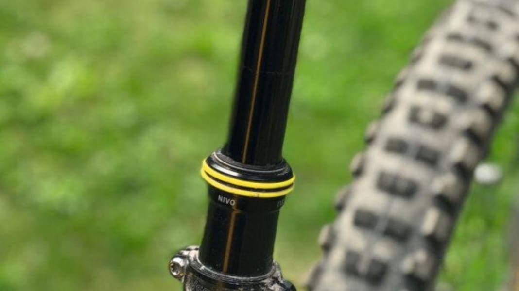 Zuverlässige Stütze: Vecnum Nivo