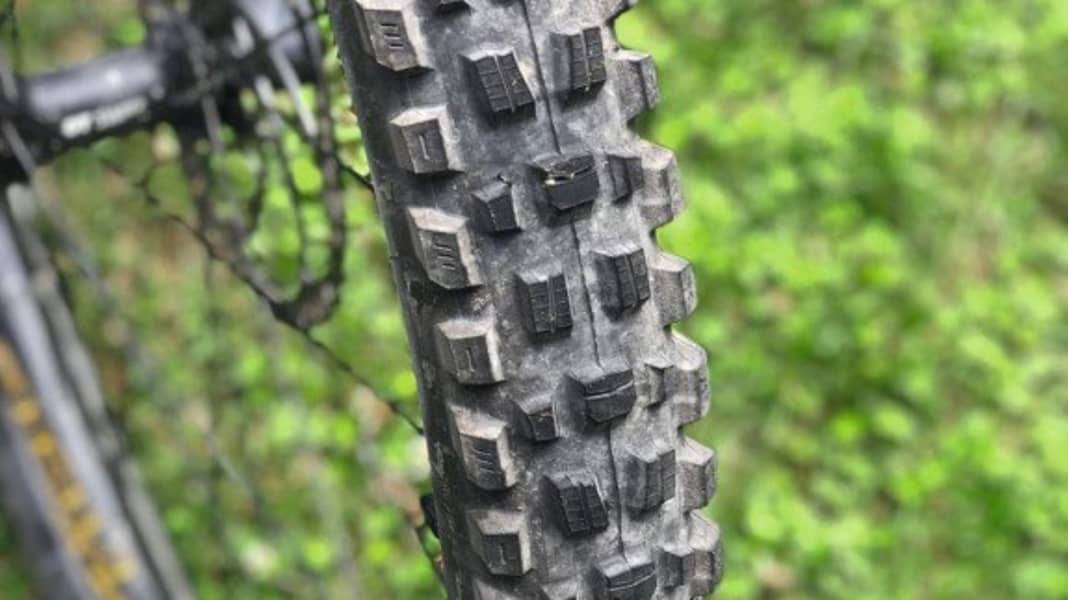 Reifen: Maxxis Assegai 2.5WT Exo 3C MT 29"