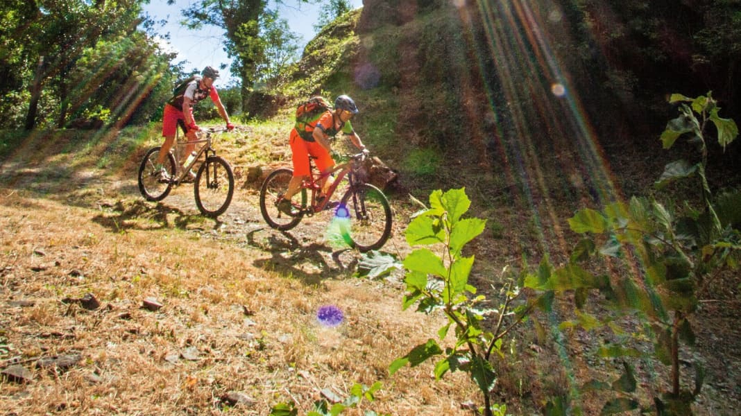 3 Mittelgebirgs-Touren im Westerwald für Mountainbiker