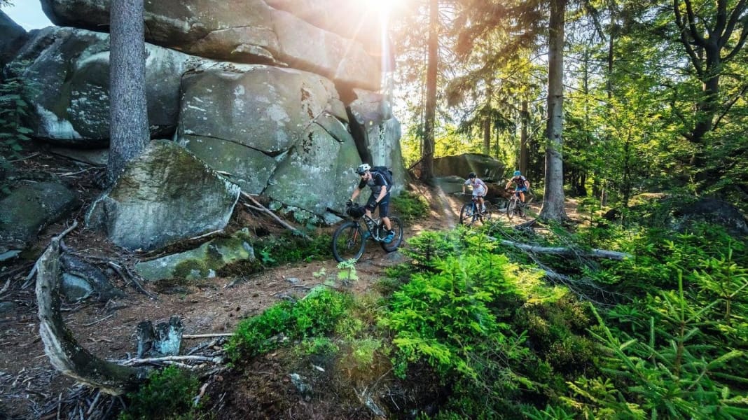 Die 14 besten Mountainbike-Trails in Deutschland