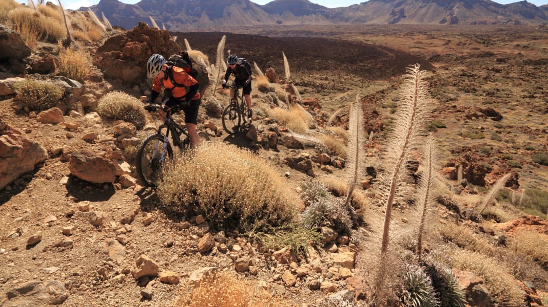 Spanien: MTB-Touren auf Teneriffa