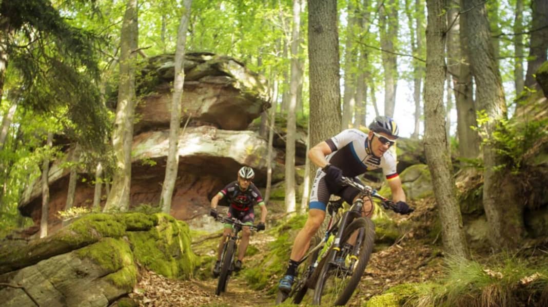Profi-Revier: Karl Platts Hometrails