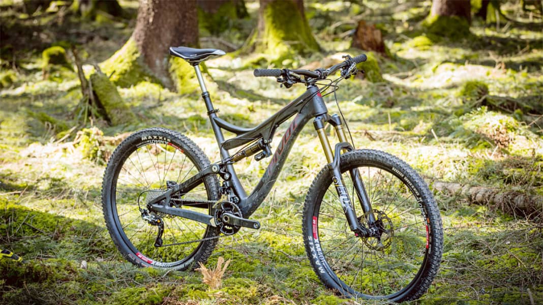 2015 pivot 2025 mach 6