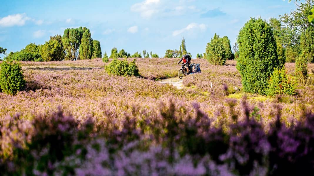Auf die sanfte Tour im hohen Norden: Biken mit Kind