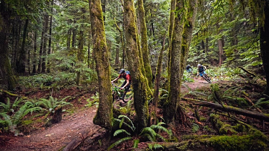 Im Reich der Superkurven: Mythos Northshore