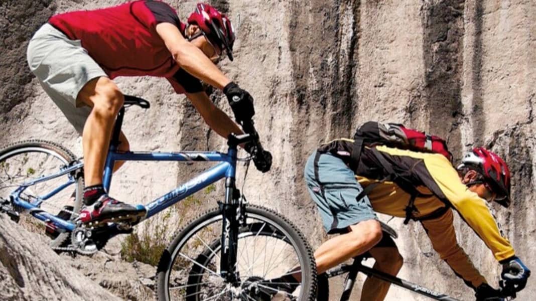 Mtb 700 euros deals