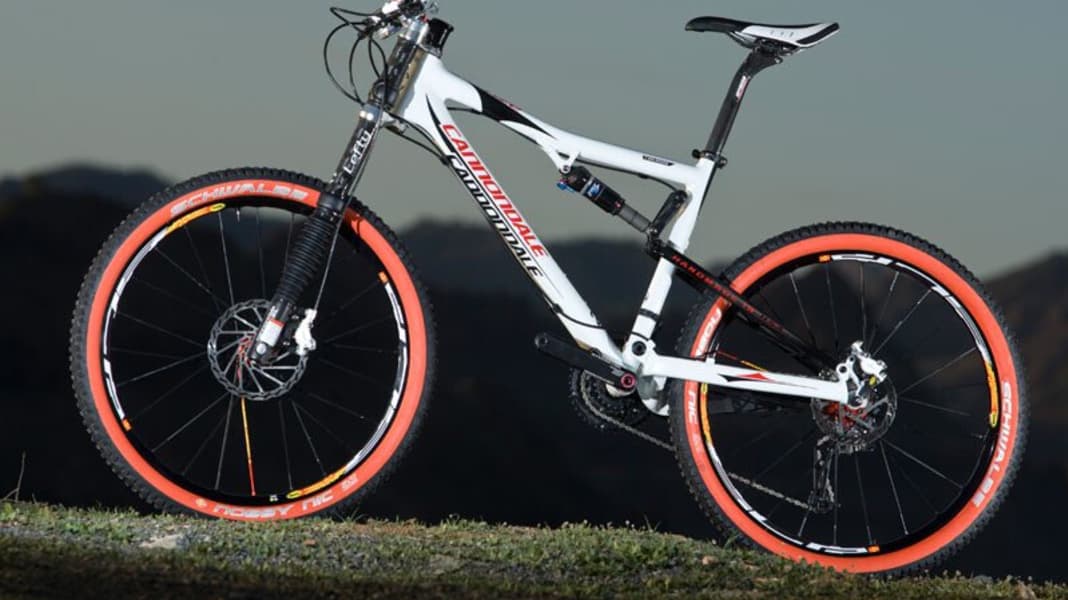 Cannondale rize 2025 5