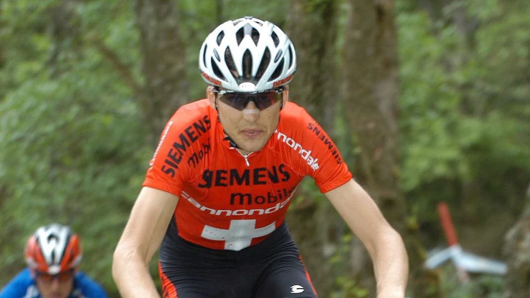 Wartung Lefty Max Federgabel