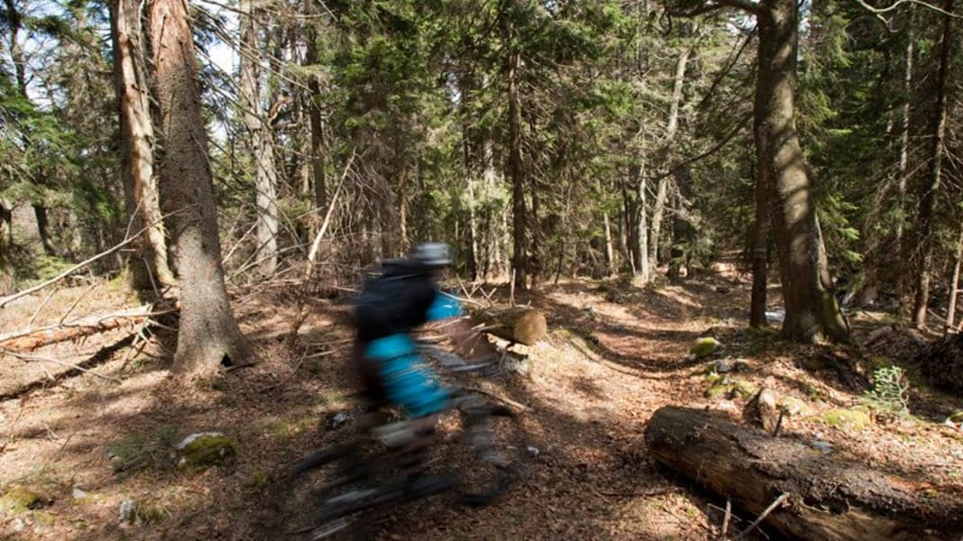 Deutschland: Hirschberg Supertrail