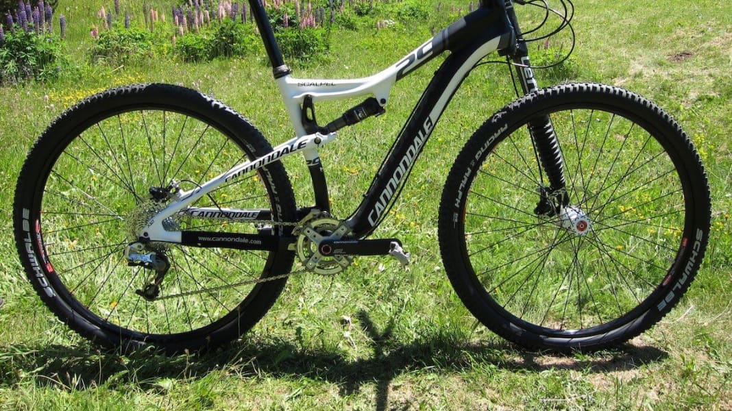 Bike cannondale scalpel 29 new arrivals