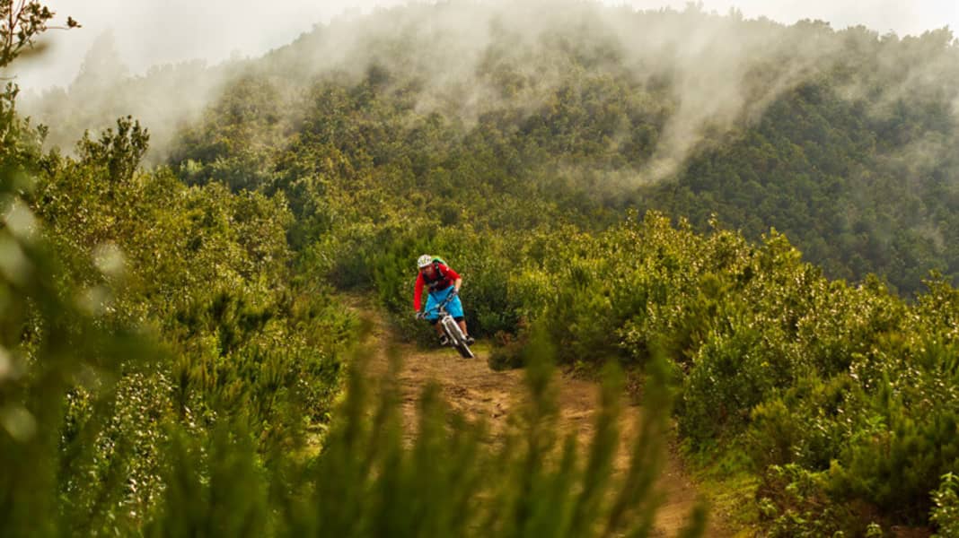 Kanarische Inseln: La Palma