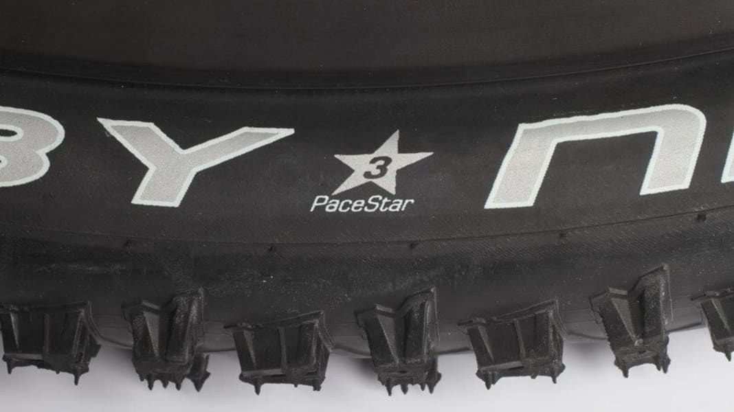 Schwalbe Evolution, Performance & Active: Was ist das?