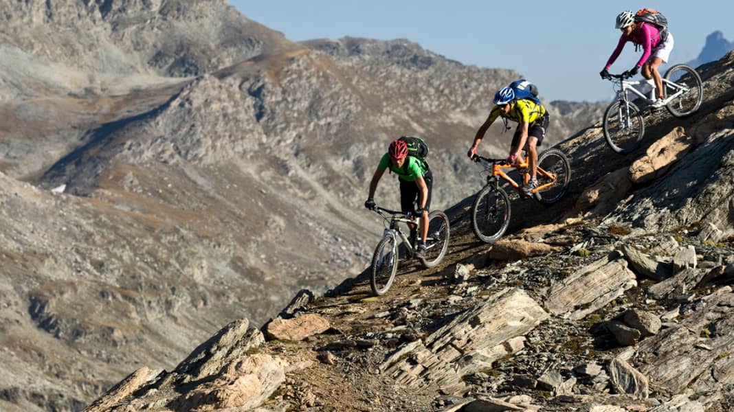 Große Transalp-Datenbank