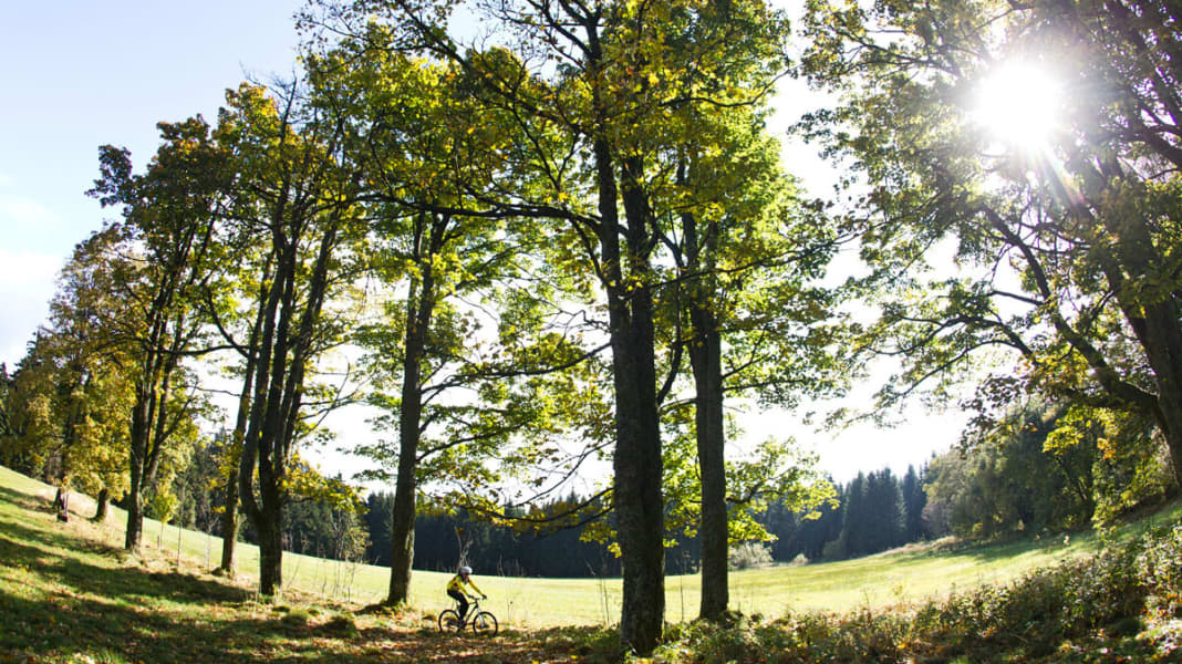 Bayerischer Wald: Mühlgraben Supertrail