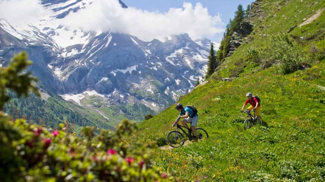 48 Seiten BIKE Special: Alpen-Guide