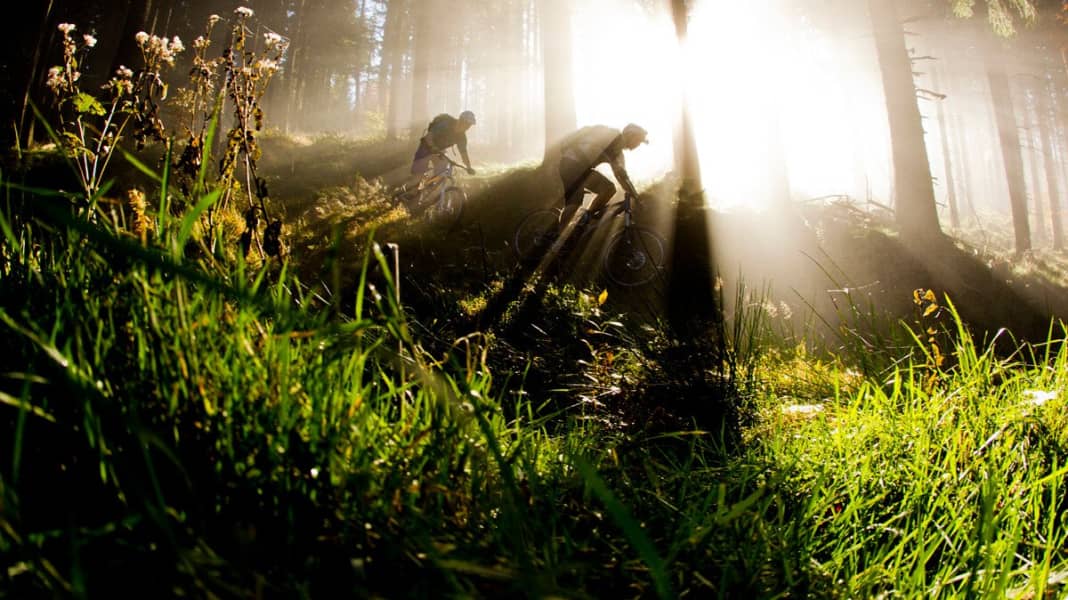 Die besten Mountainbike-Trails und Spots im Schwarzwald
