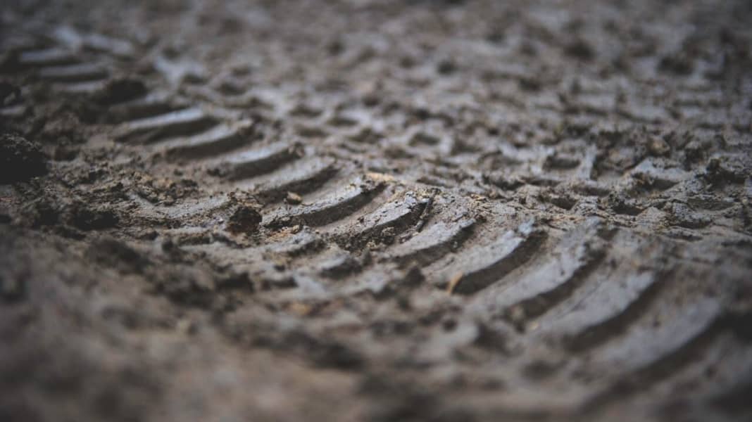 Reifen im Test: Halten die Neuen ihr Versprechen?