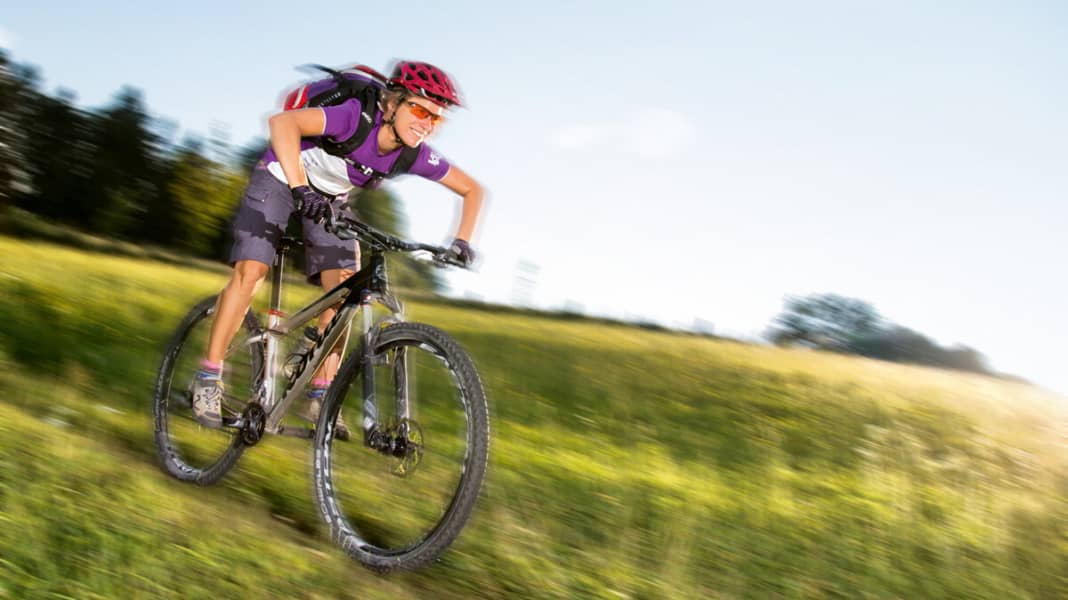 Big kahuna bike hot sale